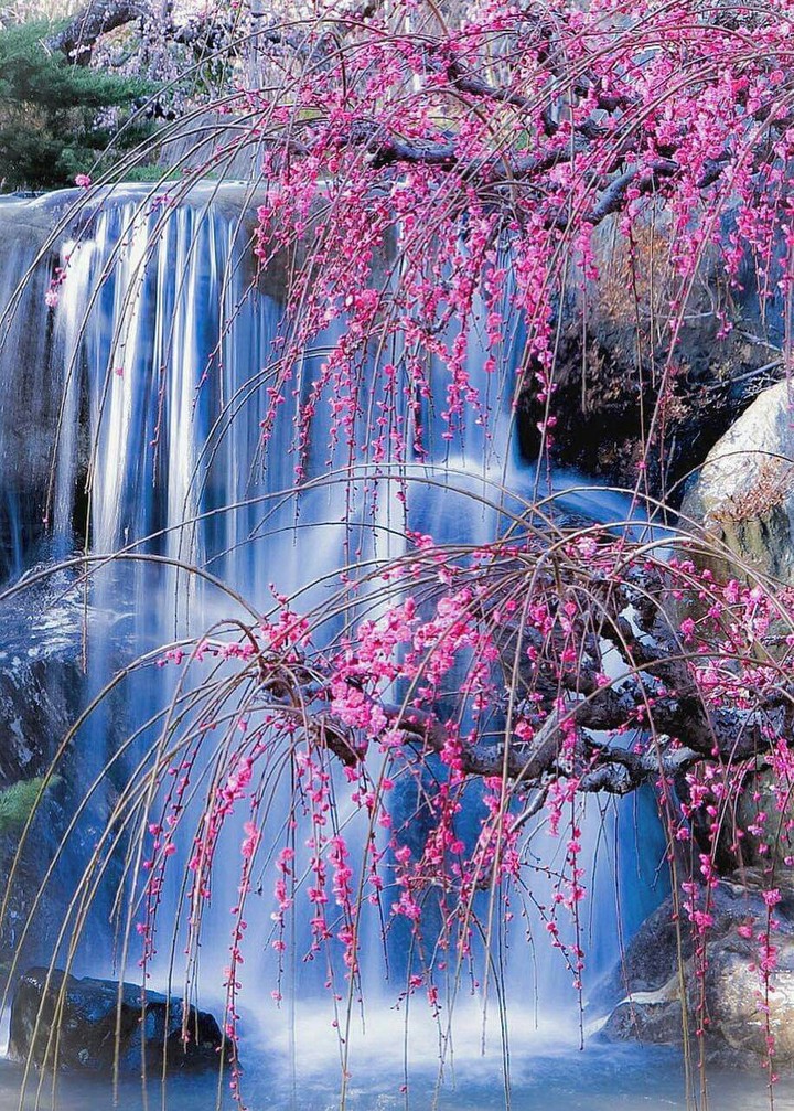 Shizuoka, Japan