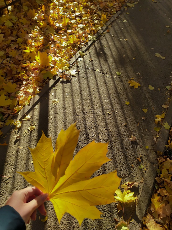 autumn