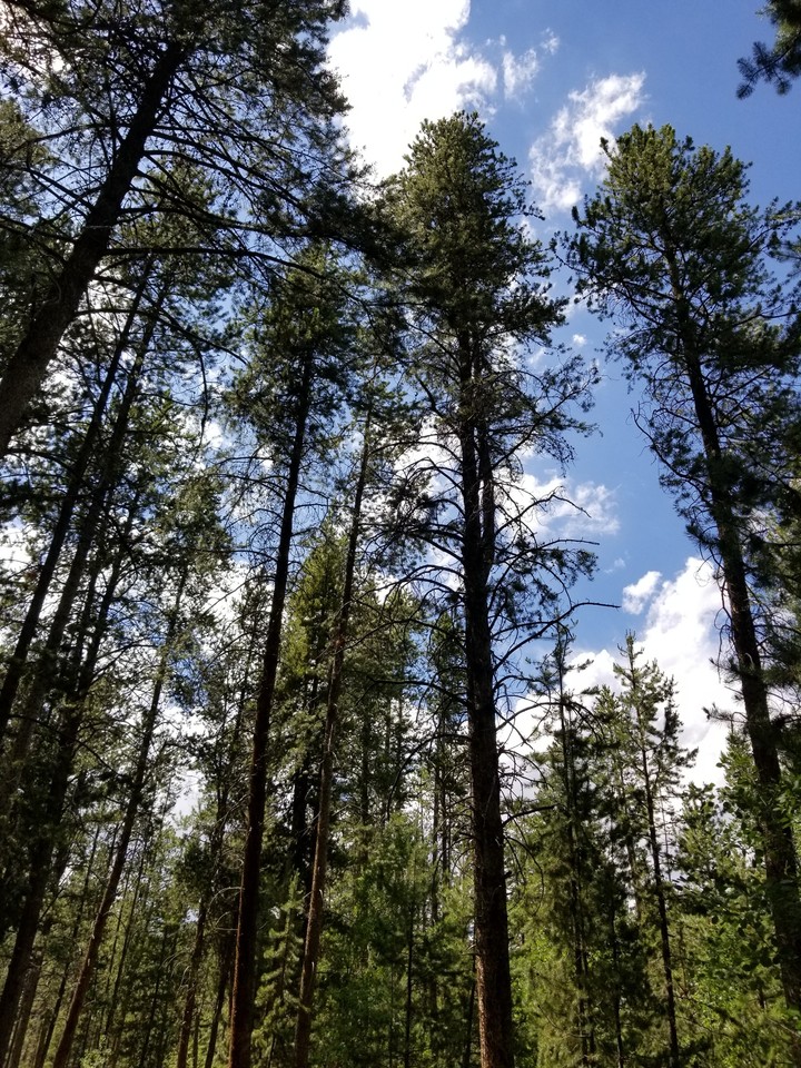 Beautiful Day