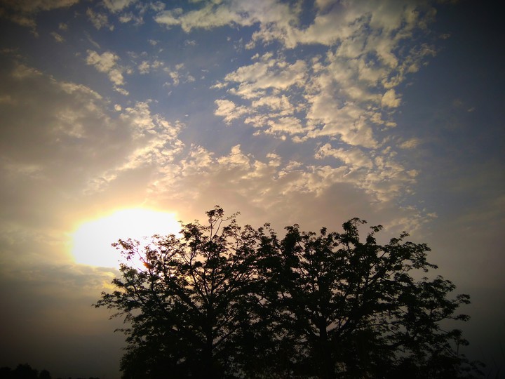 Nature, cloud beauty and forest