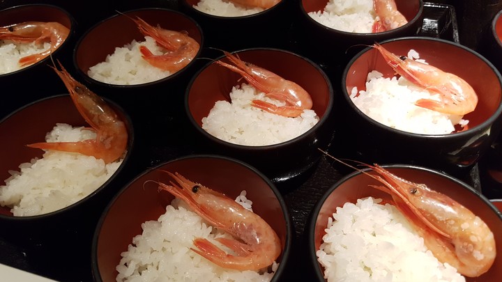 Shrimp