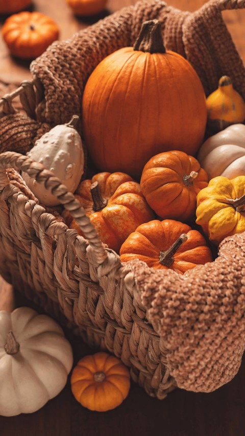 BASKET OF PUMPKINS