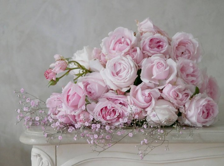 soft beauty