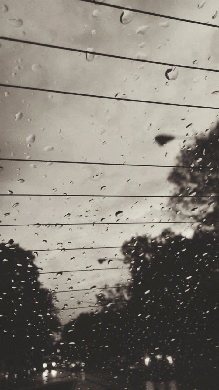 Rain