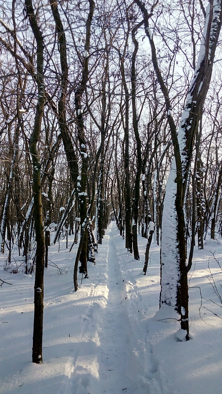 winter adventure