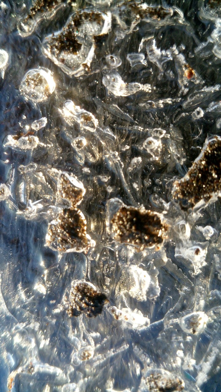 ice