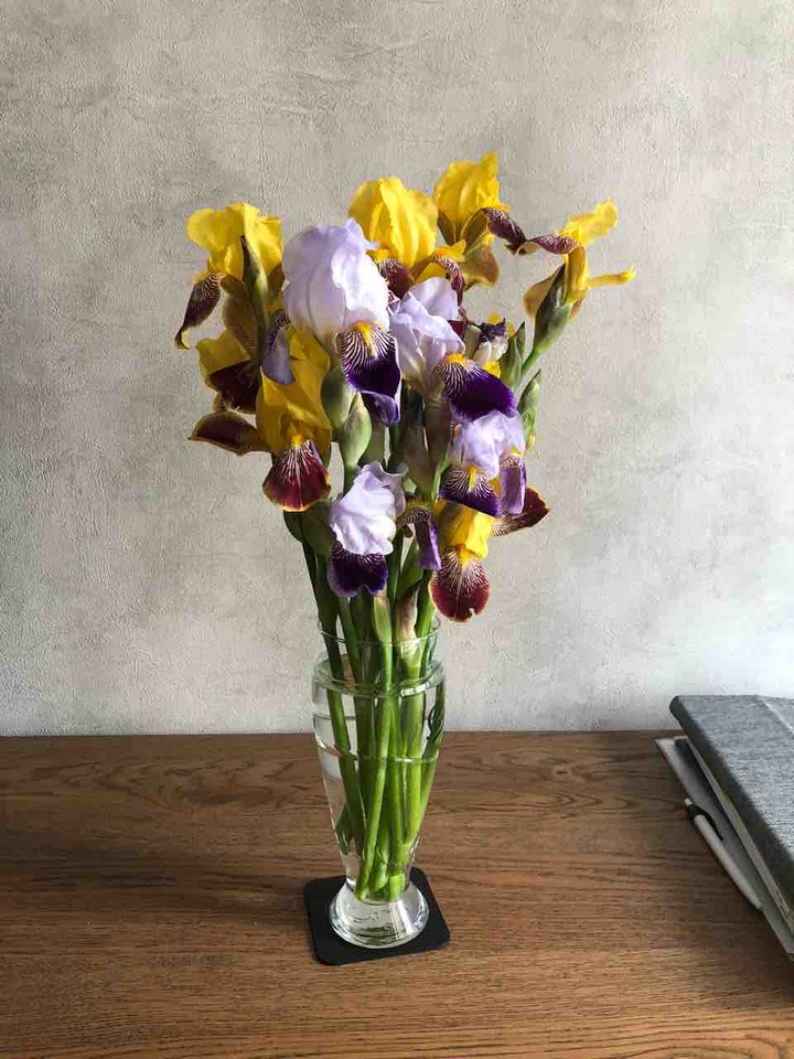 flowers