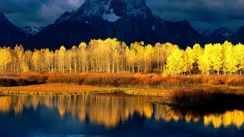 ị