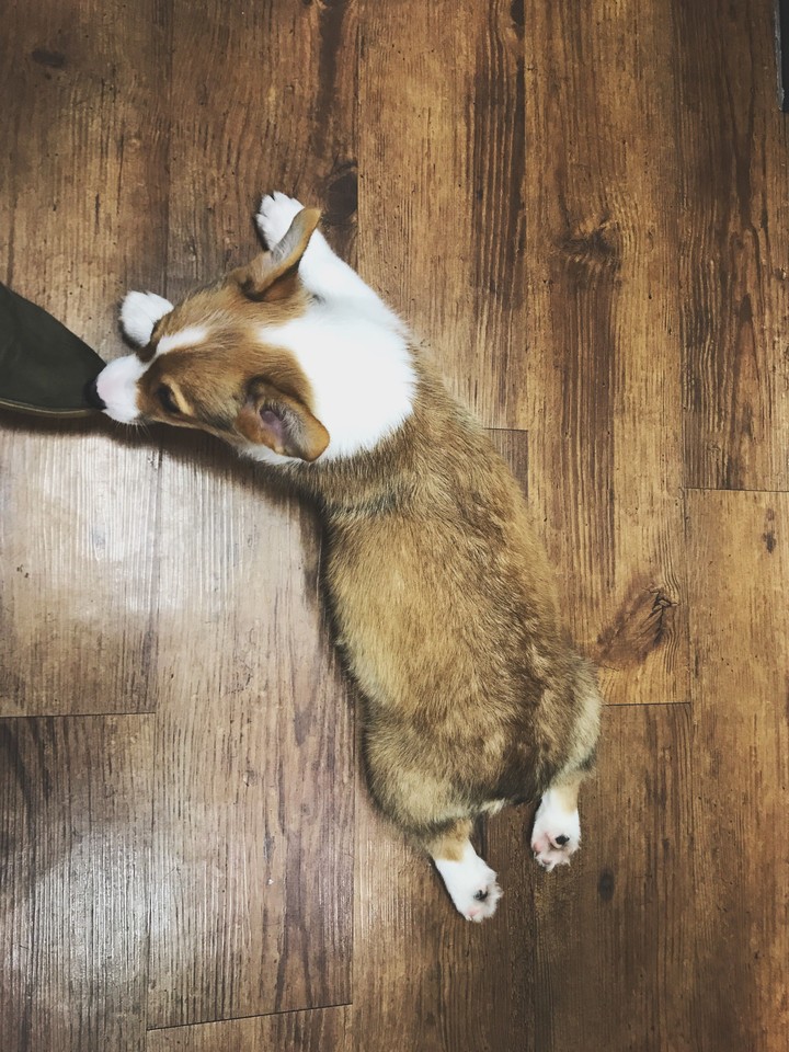 got your foot