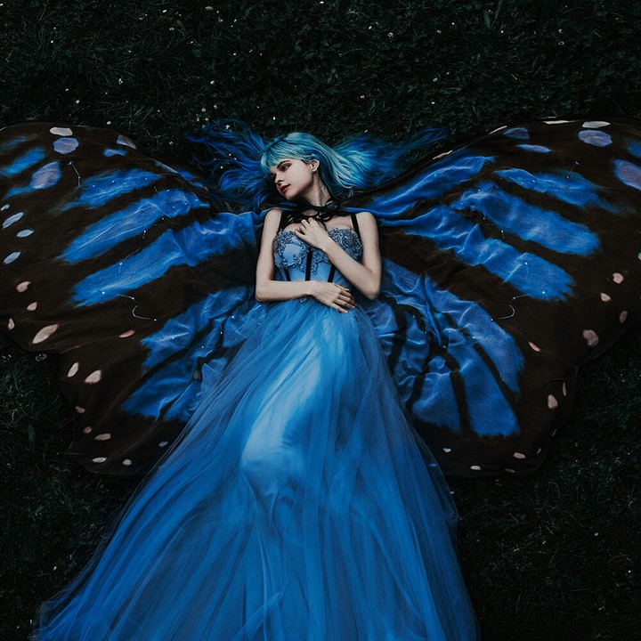 blue butterfly✨