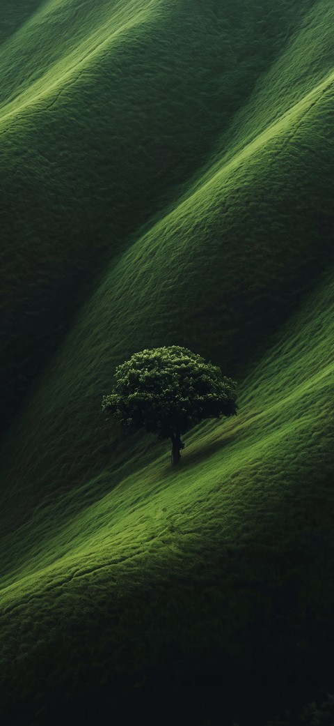 шпалери shadow, mound