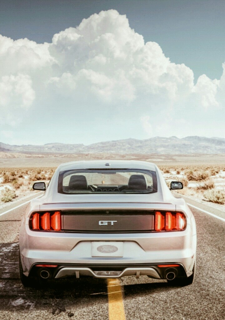 mustang