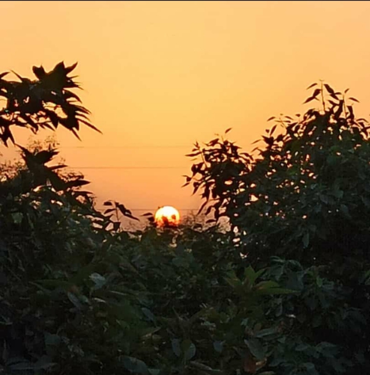 sunset