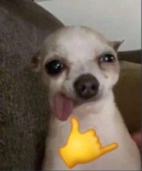 .