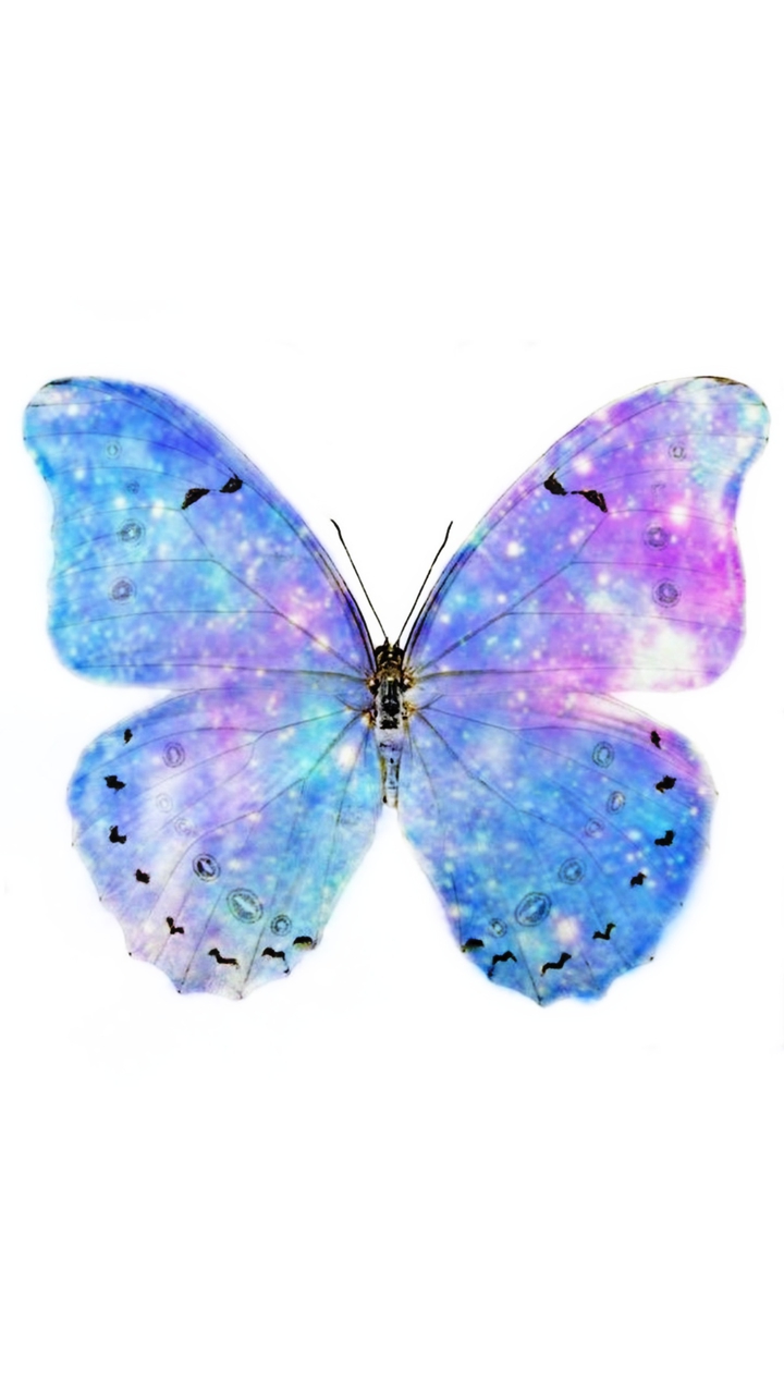 magic colors butterfly