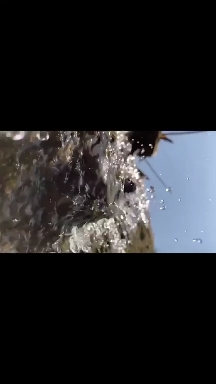 water