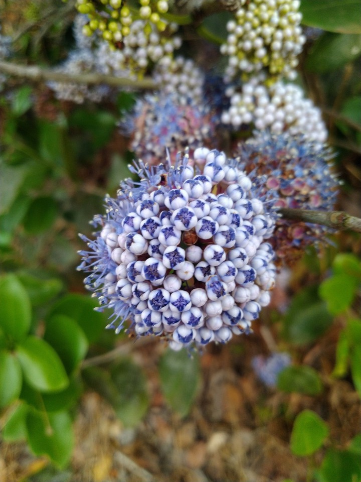 nature beauty ??#2