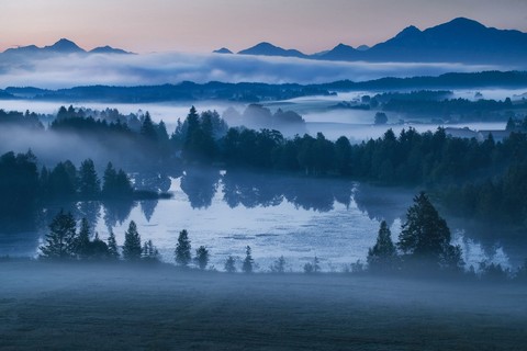 sfondi mist, fog