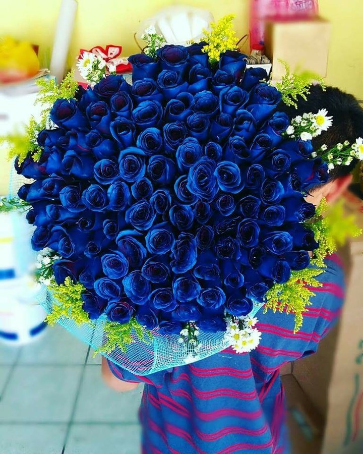 flores azules