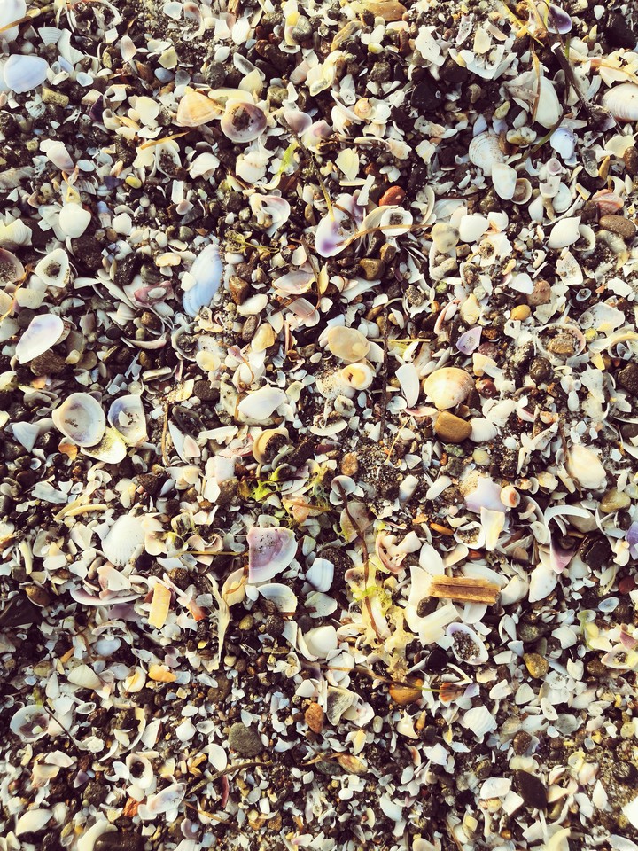 : Sea :