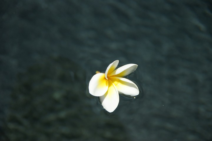 Kamboja