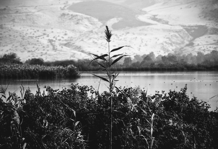Black & white