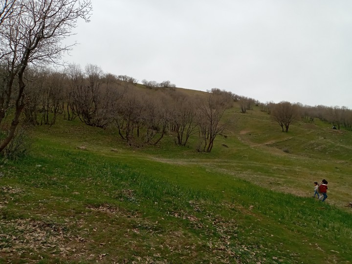 Nature
