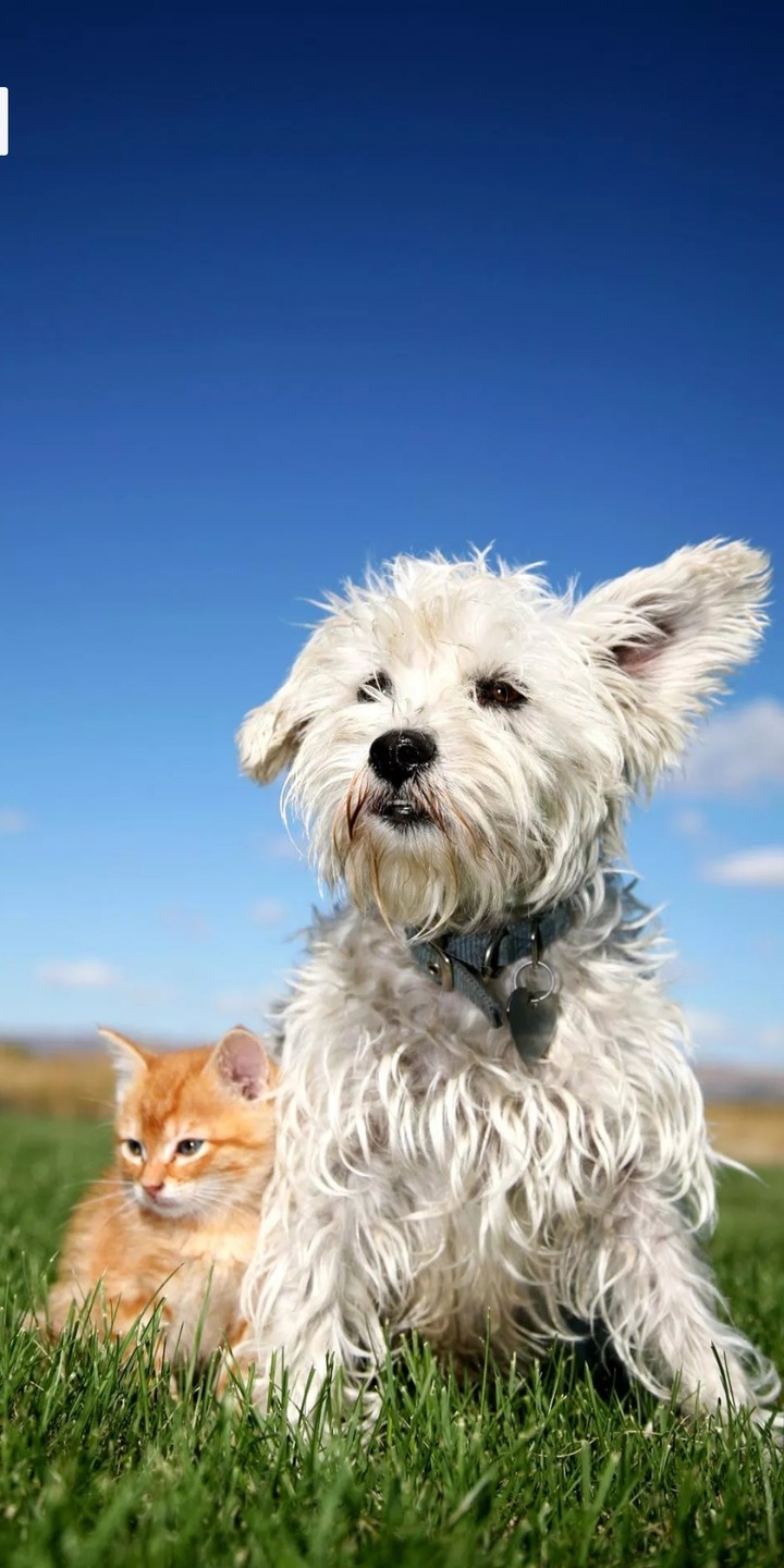 best friends