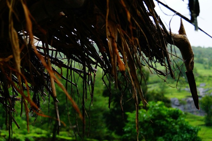monsoon times