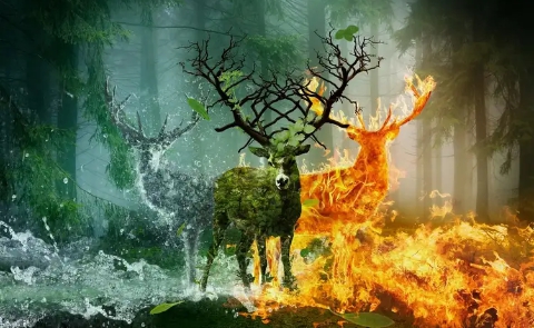 our with you nature