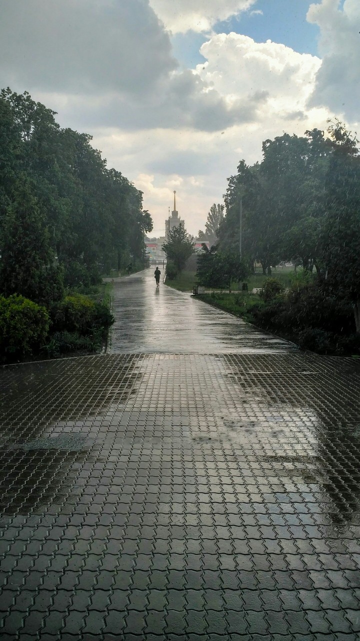 Summer rain