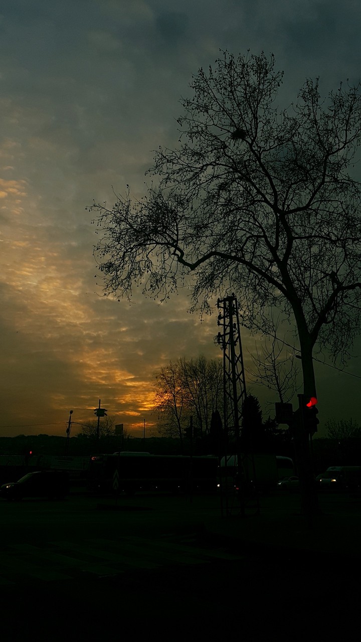 sunset