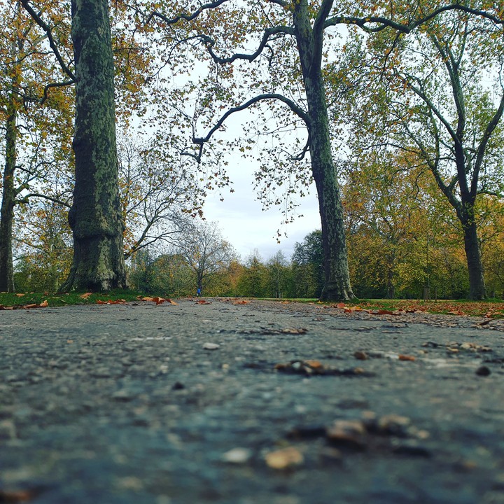 KENSINGTON  PARK,LONDON