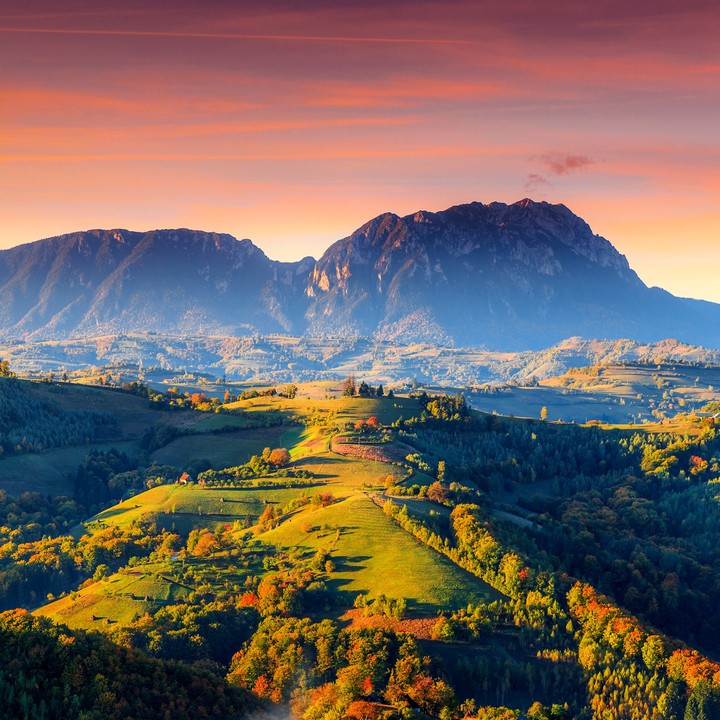 lovely nature