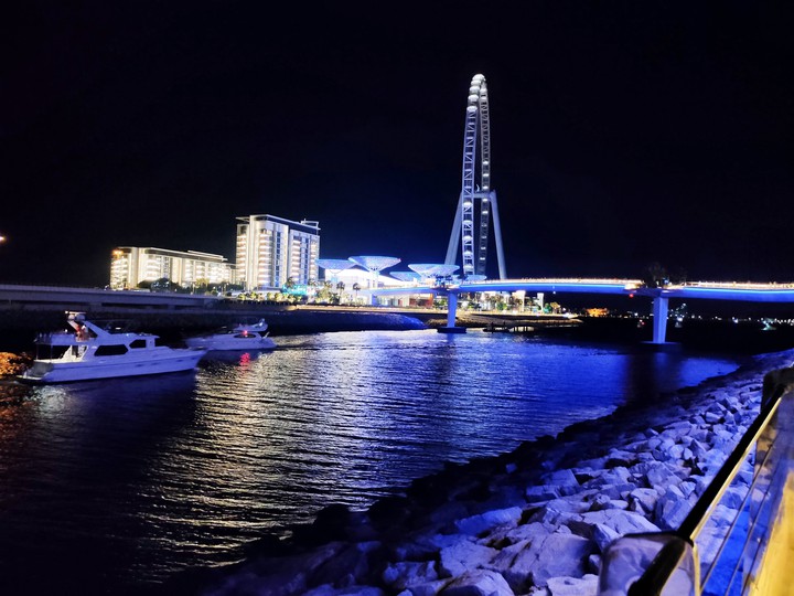 Night life