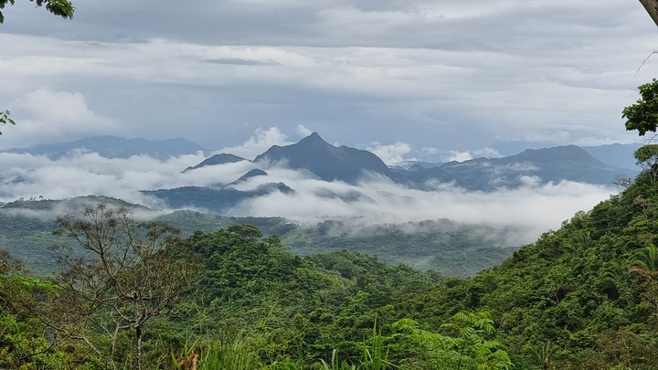 cerro orari