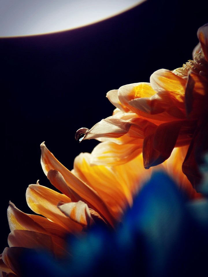 Drop