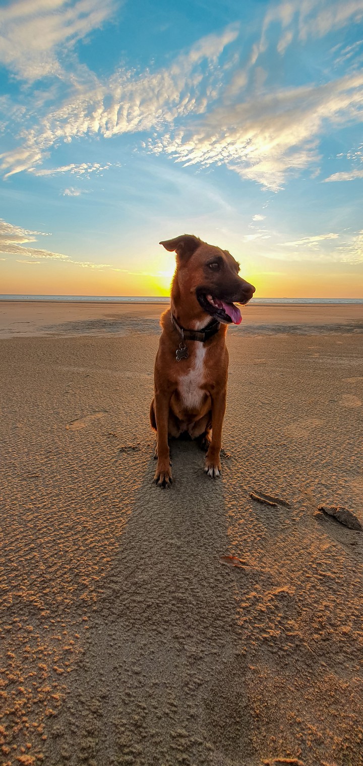 My friend at the beach