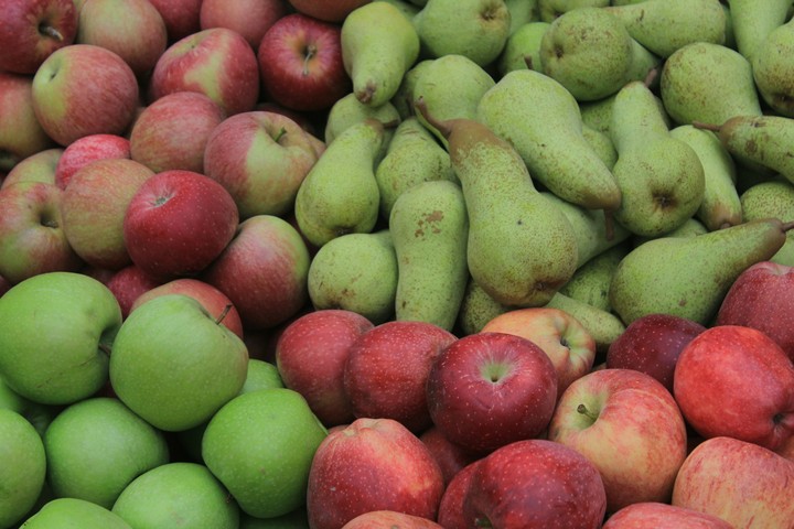 you want an apple or a pear?