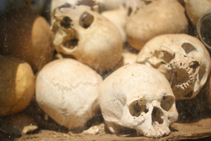 Human Skeleton