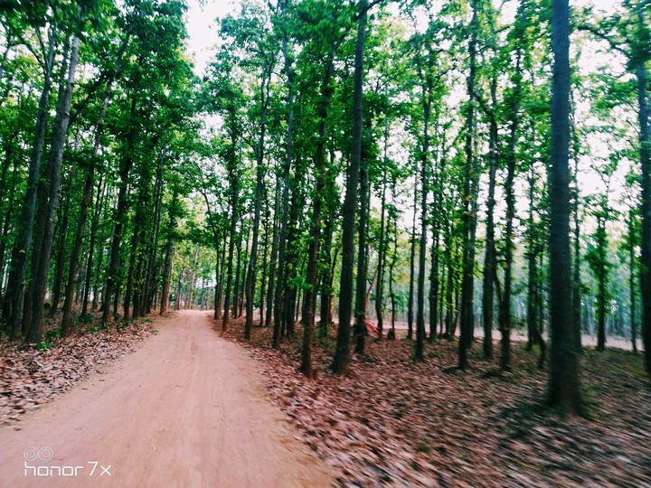 Greenway