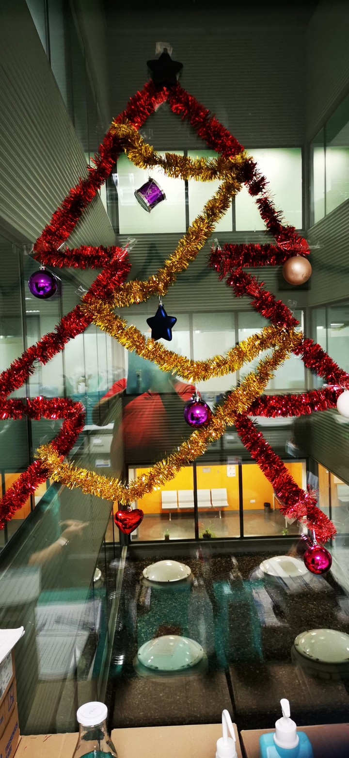 Feliz Navidad desde un hospital