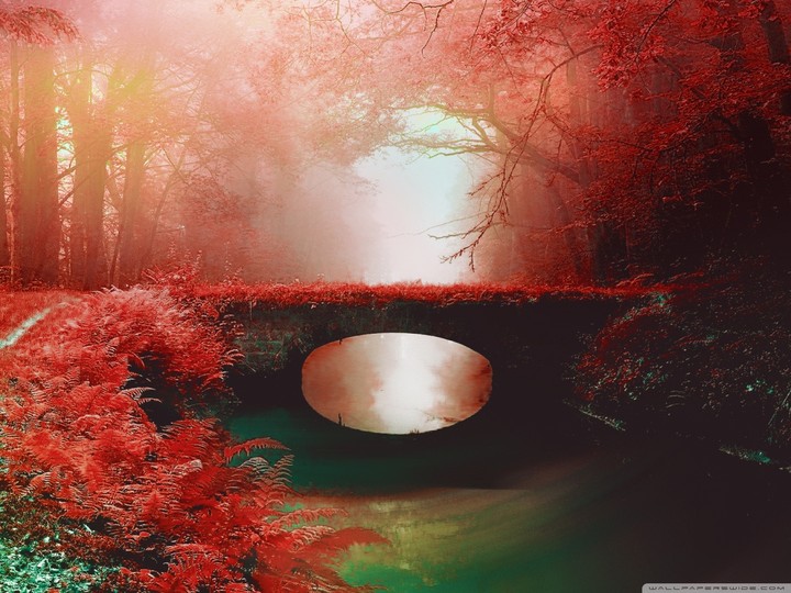love bridge