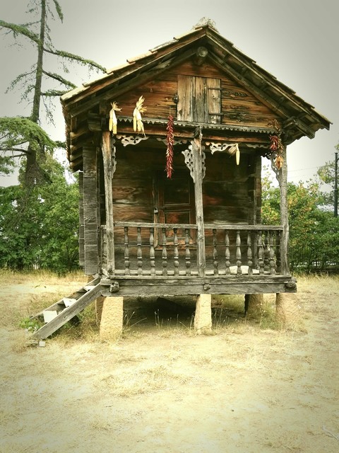 Traditional Homes of Georgia