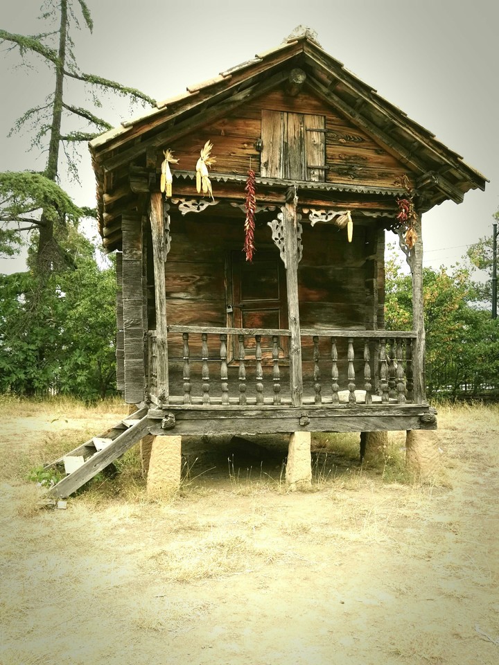 Traditional Homes of Georgia