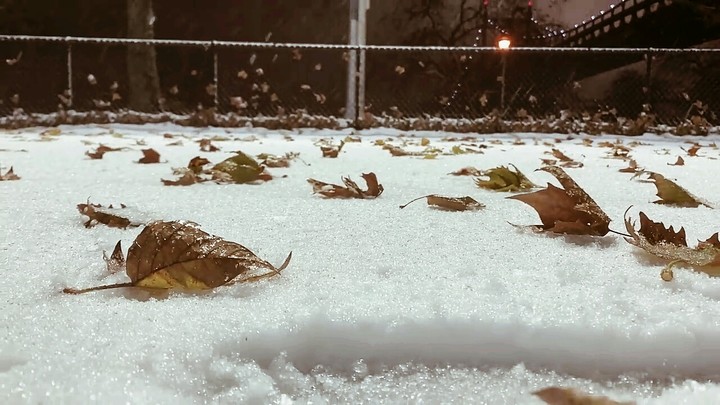 Neve