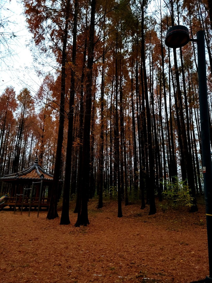 가을