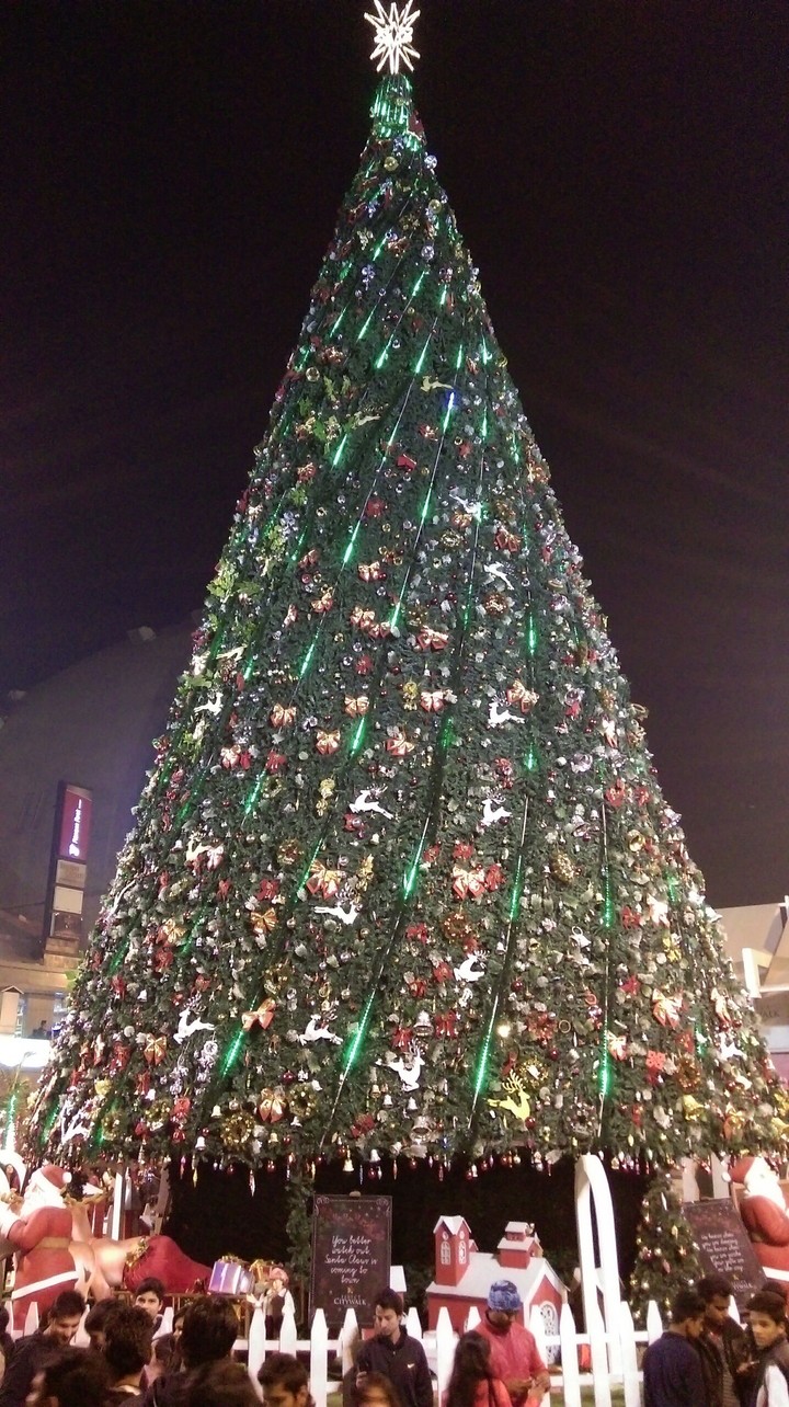 Christmas Tree