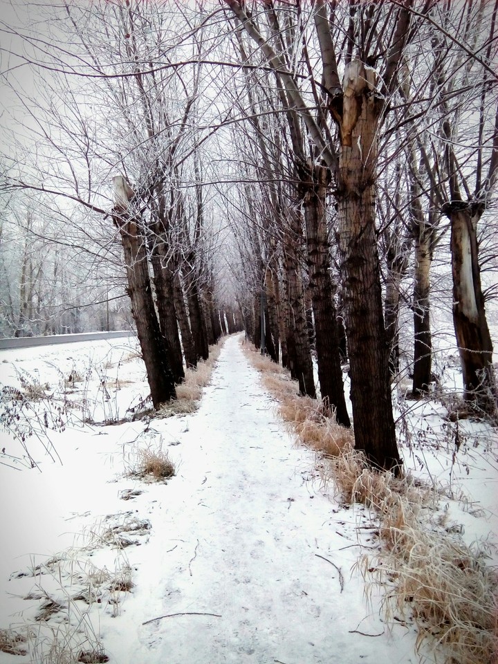 Дорога сна/The way of sleep