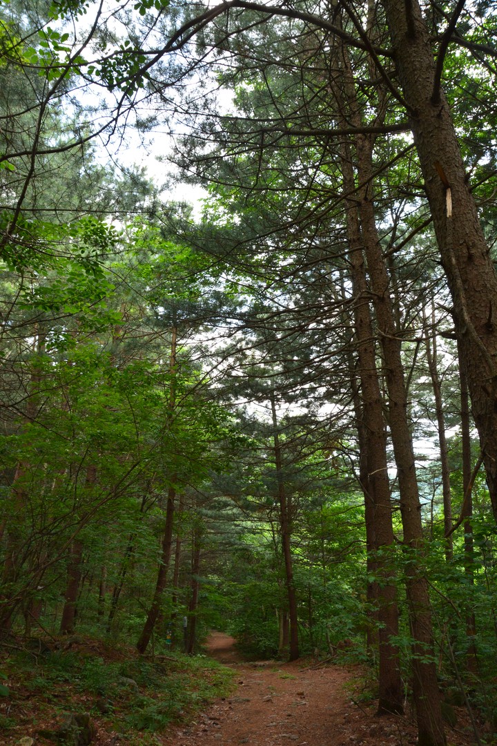 연인산이미지